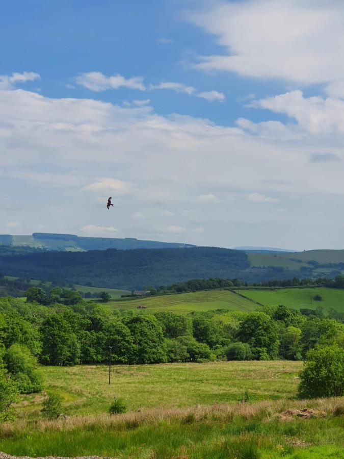 Hotel Calon Y Goedwig Glamping Llandovery Exteriér fotografie