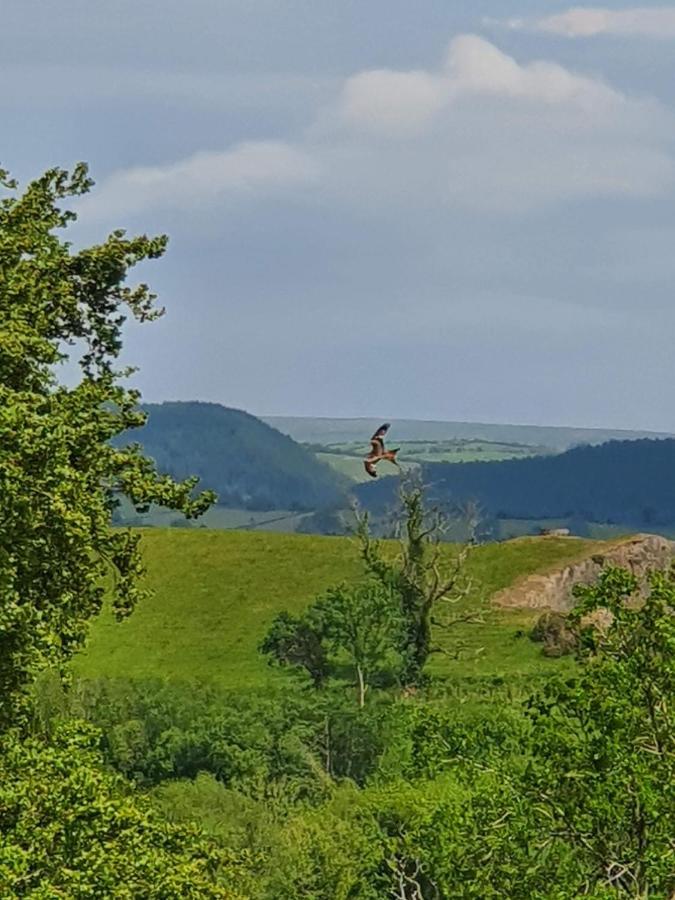 Hotel Calon Y Goedwig Glamping Llandovery Exteriér fotografie