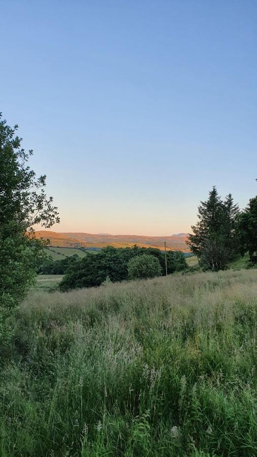 Hotel Calon Y Goedwig Glamping Llandovery Exteriér fotografie