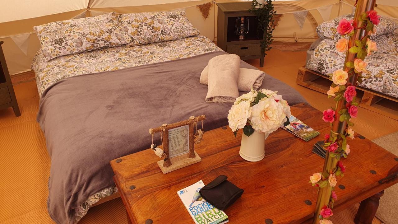 Hotel Calon Y Goedwig Glamping Llandovery Exteriér fotografie