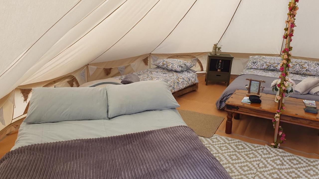 Hotel Calon Y Goedwig Glamping Llandovery Exteriér fotografie