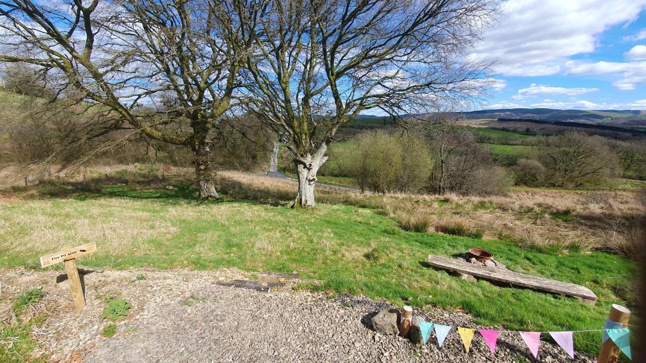 Hotel Calon Y Goedwig Glamping Llandovery Exteriér fotografie
