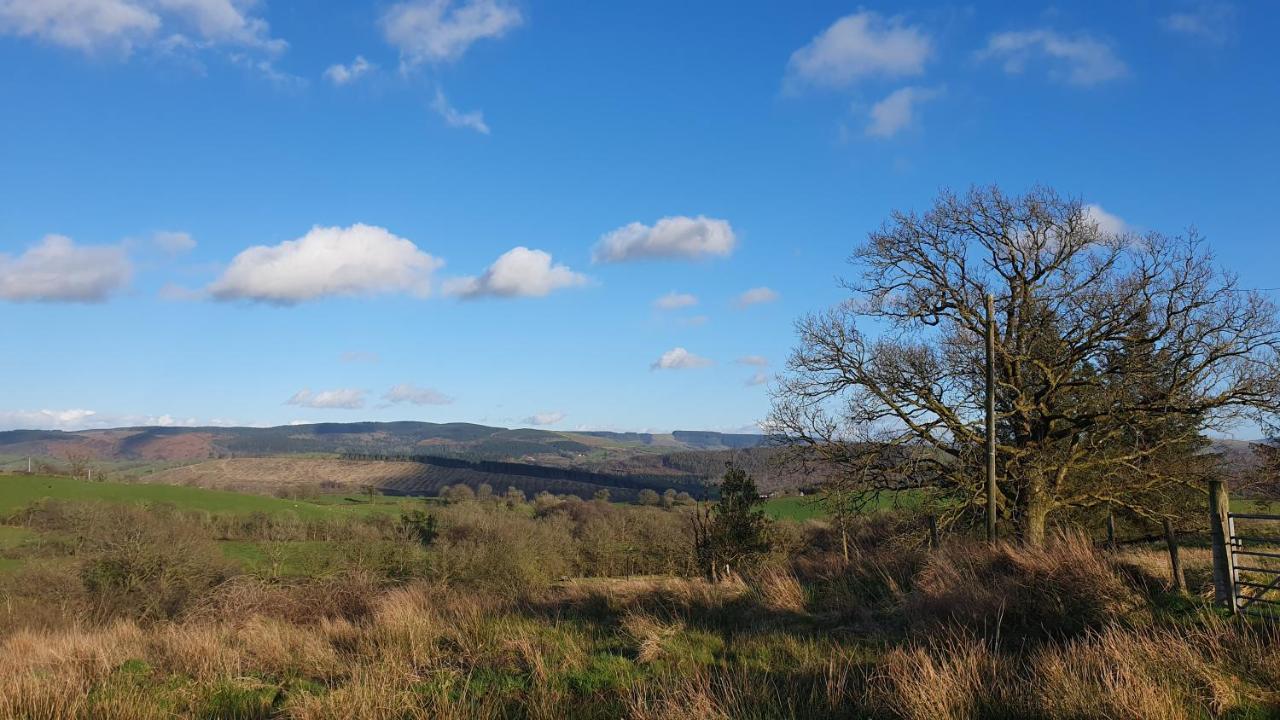 Hotel Calon Y Goedwig Glamping Llandovery Exteriér fotografie