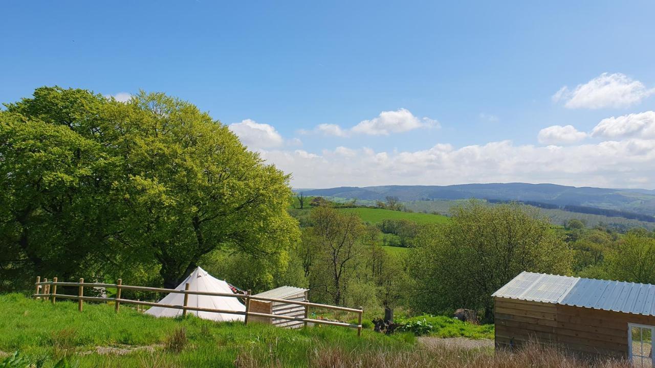 Hotel Calon Y Goedwig Glamping Llandovery Exteriér fotografie