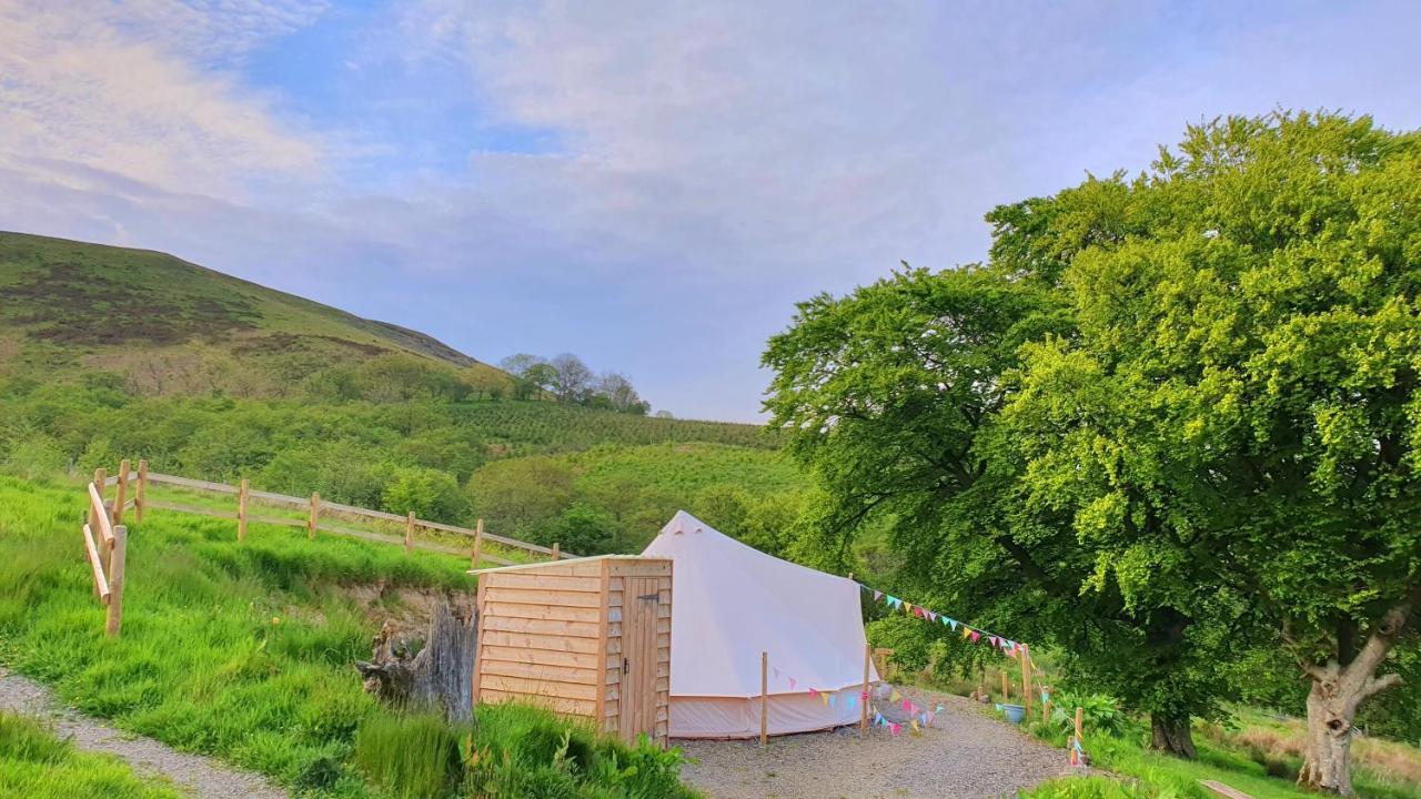 Hotel Calon Y Goedwig Glamping Llandovery Exteriér fotografie
