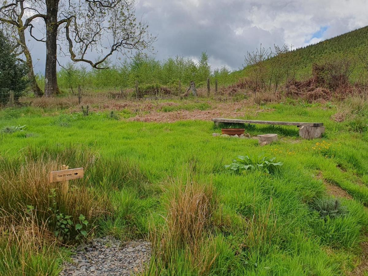 Hotel Calon Y Goedwig Glamping Llandovery Exteriér fotografie