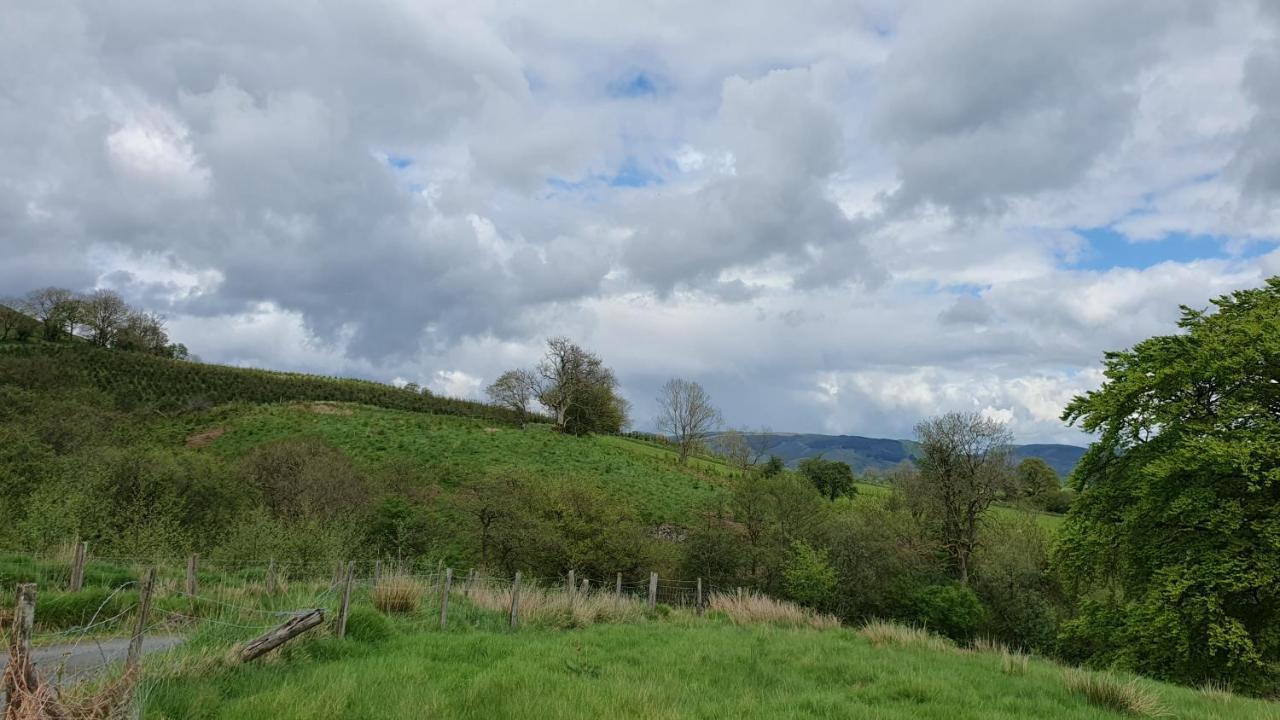 Hotel Calon Y Goedwig Glamping Llandovery Exteriér fotografie