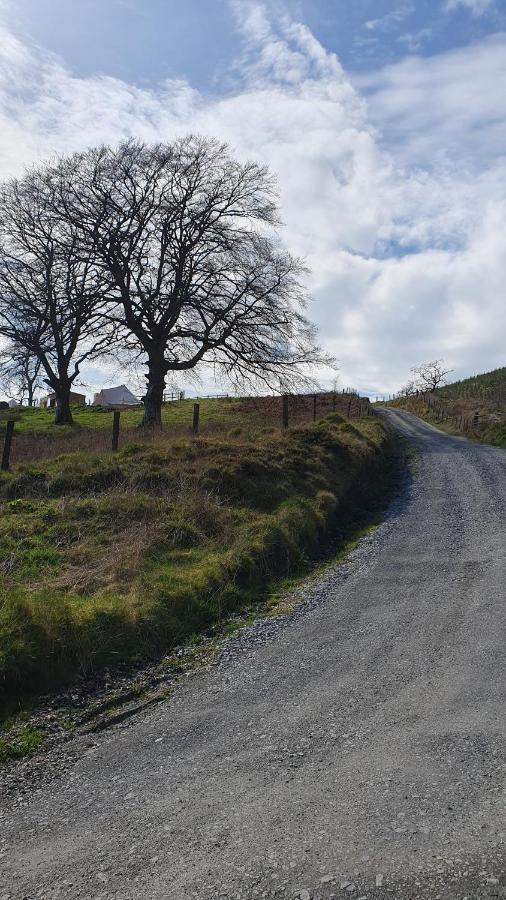 Hotel Calon Y Goedwig Glamping Llandovery Exteriér fotografie