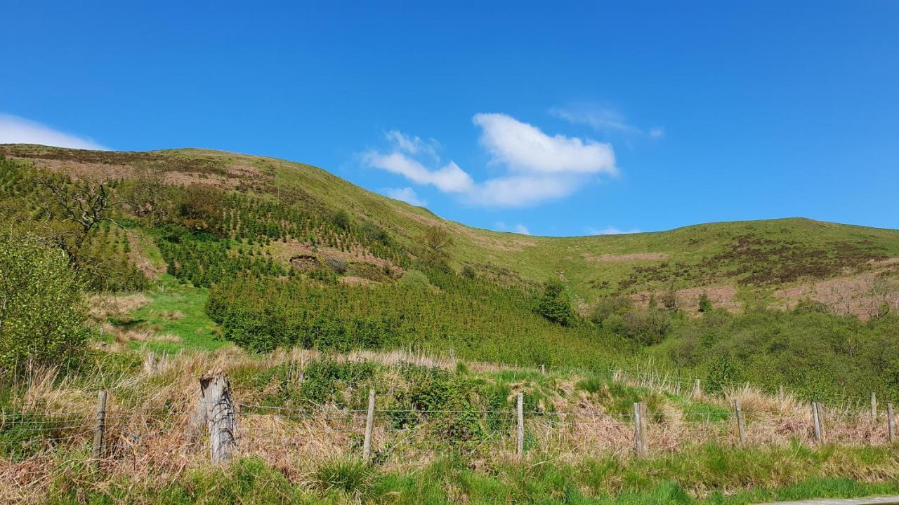 Hotel Calon Y Goedwig Glamping Llandovery Exteriér fotografie