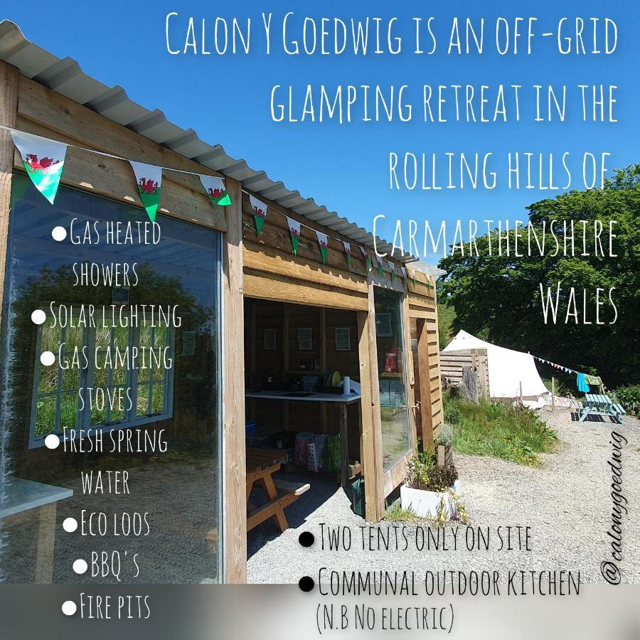 Hotel Calon Y Goedwig Glamping Llandovery Exteriér fotografie
