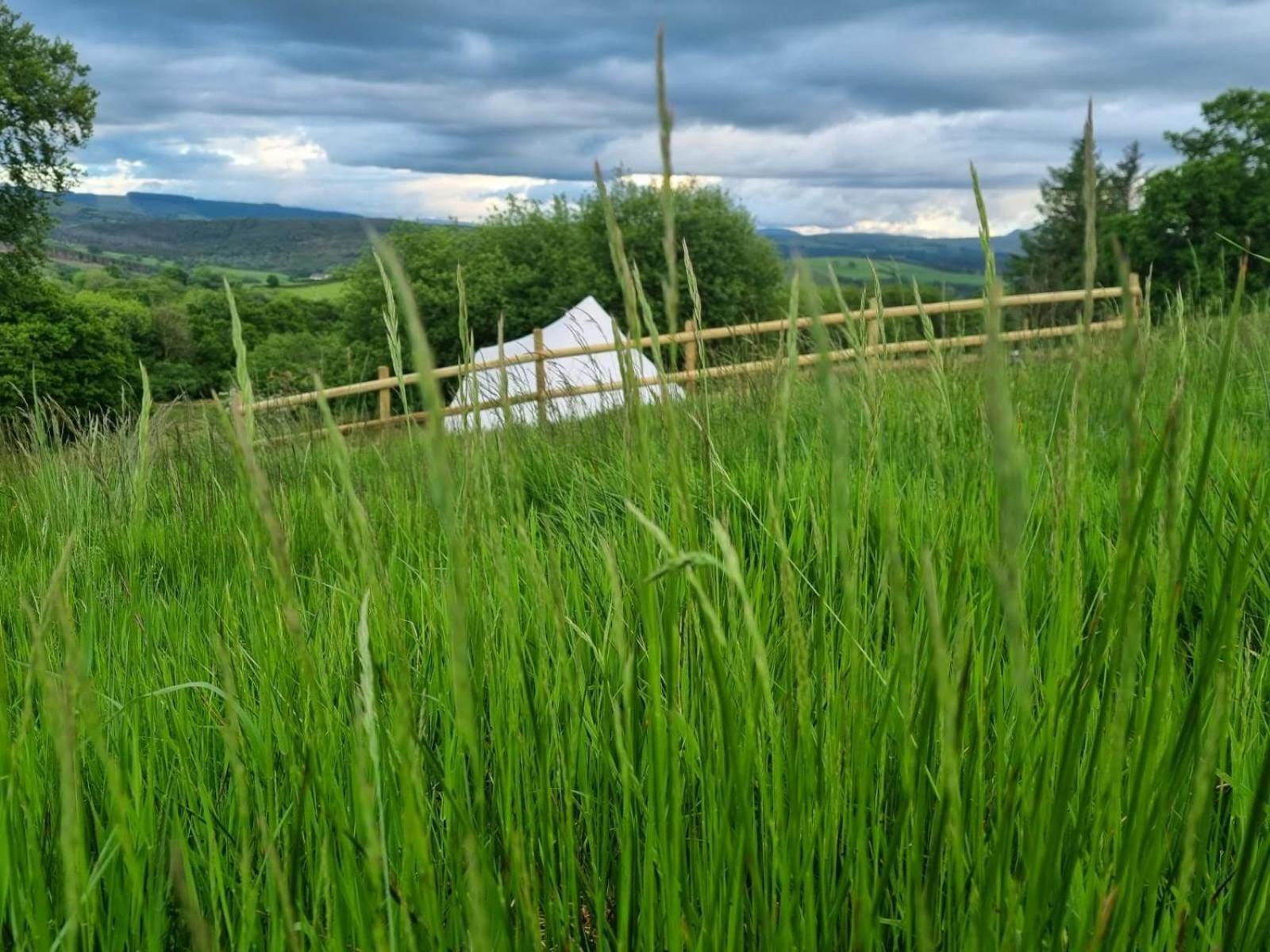 Hotel Calon Y Goedwig Glamping Llandovery Exteriér fotografie